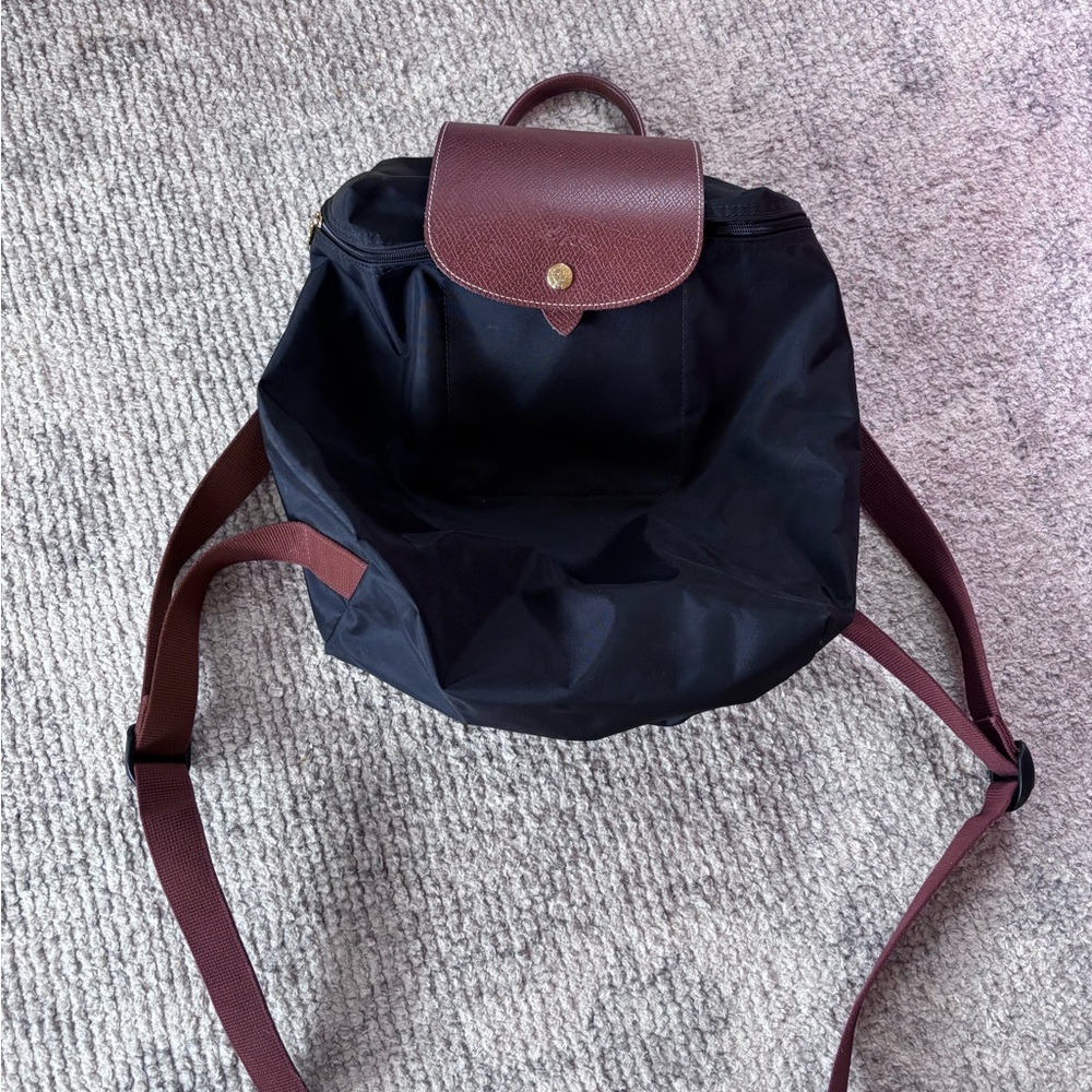 Longchamp Backpack